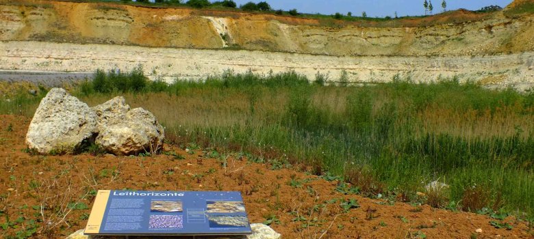 Geopark Badger Mountain