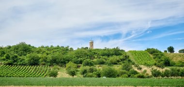 Blick auf den Wartturm 