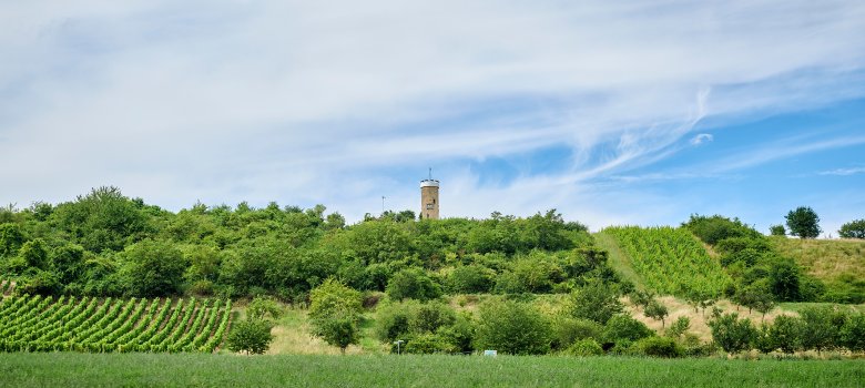 Blick hoch zum Wartturm 